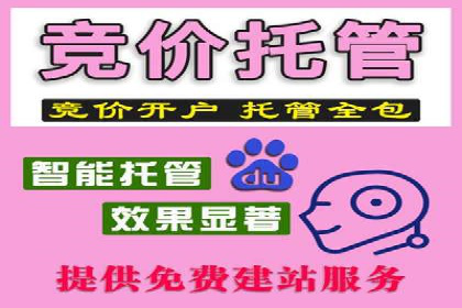 竞价推广中的着陆页策略：成功案例解读